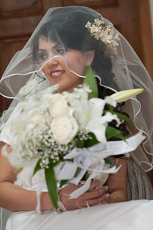 ana-nes_010